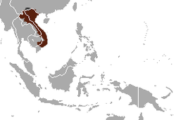 250px-Pygmy Slow Loris area