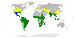 250px-Nycticorax nycticorax map.svg.png
