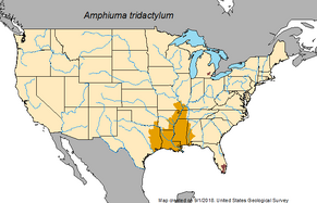 GetStaticMap.png
