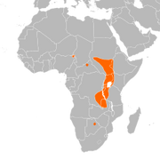 240px-Balaeniceps rex distribution