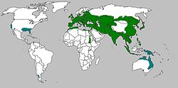 Sus scrofa range map