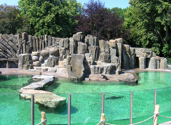 Zoologico 2.png