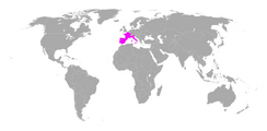 Anthocharis euphenoides distribution.png