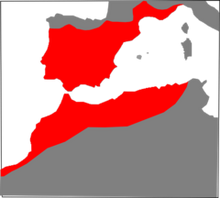 240px-Malpolon monspessulanus range Map