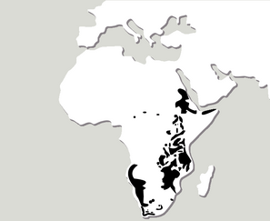 MAPA Saltarrocas