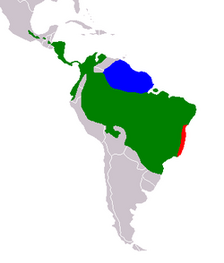 Bradypus Range