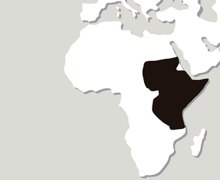 Mapa-cebra-de-grant.png