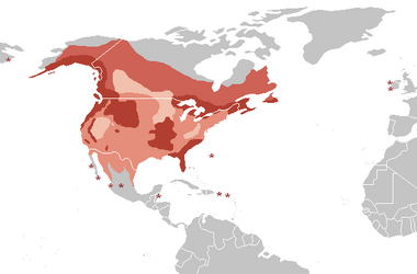 Distribución aguila calva