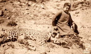 Leopardo de anatolia