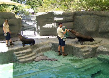 Zoologico 1.png