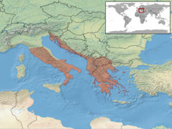 Elaphe quatuorlineata distribution