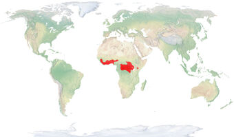Mapa Traeur