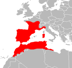 250px-Mapa Natrix maura