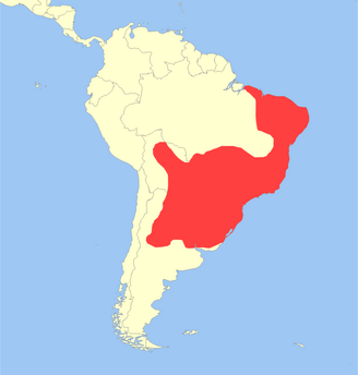Mazama gouazoubira distribution