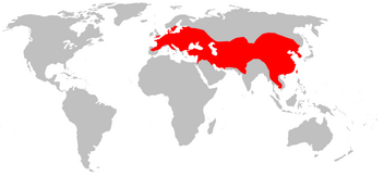 Eptesicus serotinusMap
