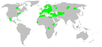 Distribution.arctosa.cinerea.1.png