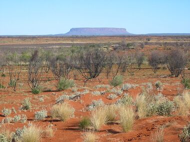 800px-Outback