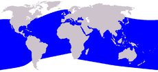 Cetacea range map Bottlenose Dolphin