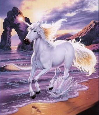 Unicornio Wiki Reino Animalia Fandom Los unicornios son criaturas mágicas, un símbolo de luz, bondad y naturaleza. unicornio wiki reino animalia fandom