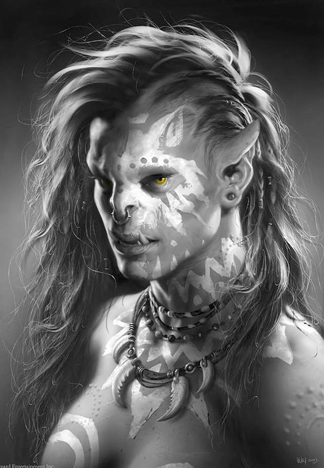 Evermoor Wiki Fandom vrogue.co