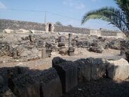 2007. Capernaum