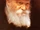 Menachem Mendel Schneerson