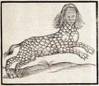  A 17th century depiction of Lamia from Edward Topsel]'s The History of Four-Footed Beasts