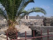 2007. Capernaum