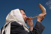 Shofar2