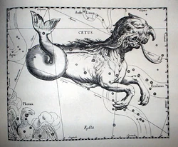 CetusJohannesHevelius1690