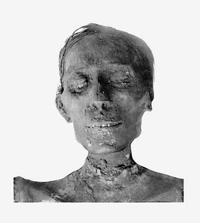 Mummified remains of Thutmose IV.
