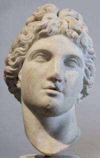 ApolloBust