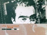 Lifes Rich Pageant