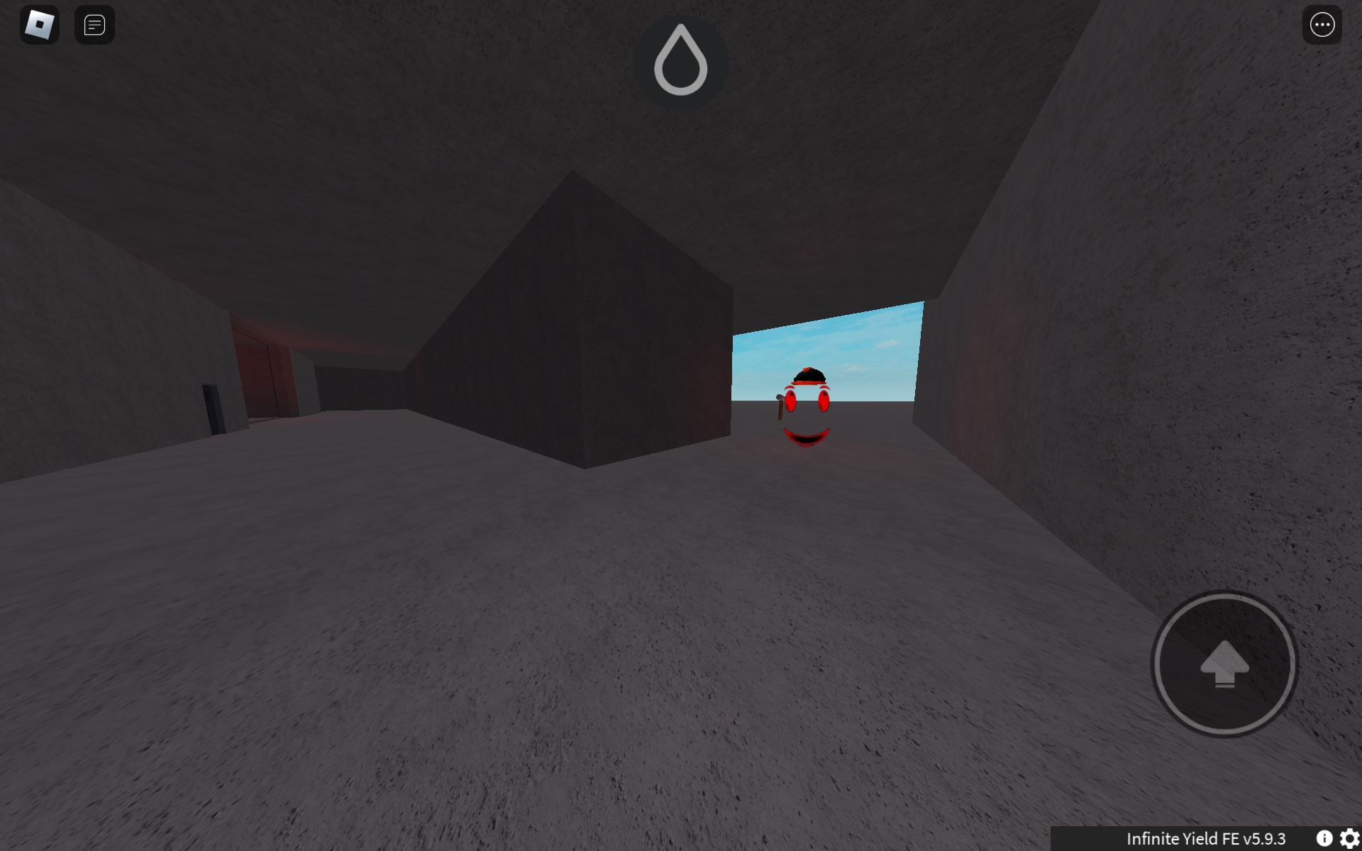 The Maze  Roblox Game - Rolimon's