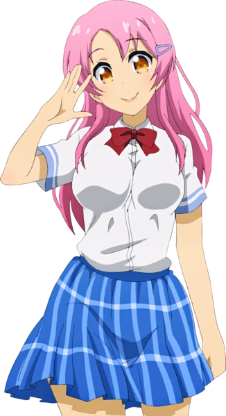 Nanako Akiyama | Remix Favorite Show and Game Wiki | Fandom