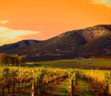 0a167ed319ffc5ba5a722406c66e6032--napa-valley-wineries-napa-winery.jpg