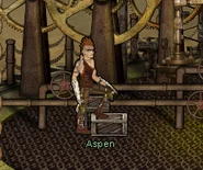 Aspen in the Boiler