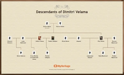 The Velama Branch of the Winslow Family as verified by Addison Velama