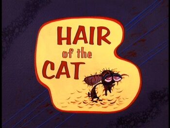 Hair of the Cat