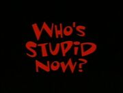 Who's Stupid Now.jpg