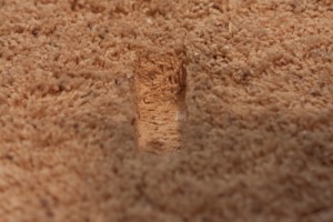 Carpet Flooring, Renopedia Wiki