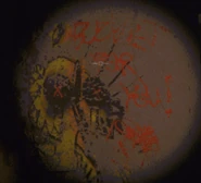 Graffiti with the Apex Predator and the phrase "Bucket For You" next to it.