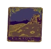 Fortune Card valuable