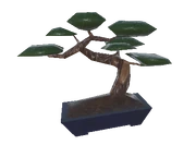 Bonsai Tree