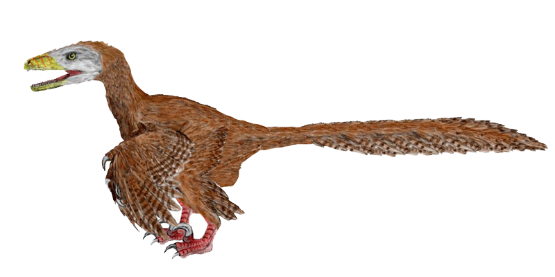 deinonychus - Wiktionary, the free dictionary