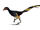 Jinfengopteryx