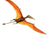 Rhamphorhynchus