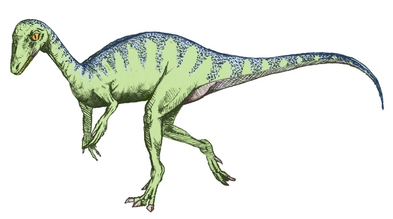 Eoraptor | Reptiles Wiki | Fandom