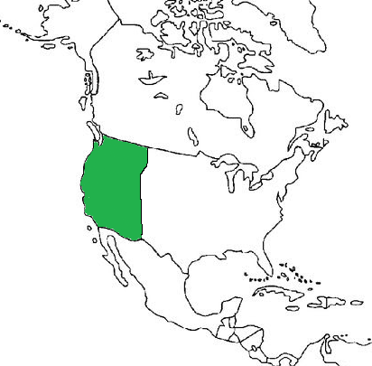 Republic Of Roblox Republic Of Roblox Wiki Fandom - rcl maps roblox