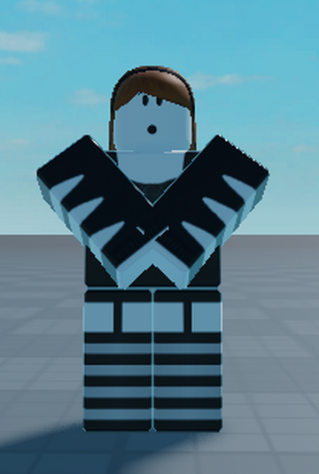 Avatar, Roblox Wiki